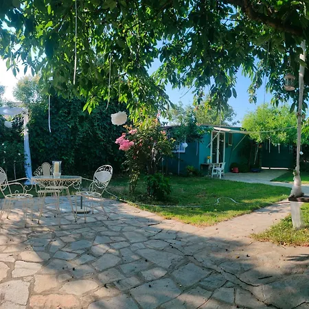 Stone Yard
